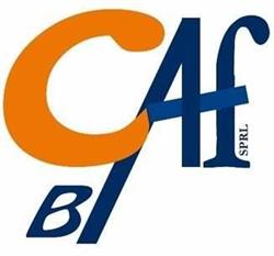 BCAF Bureau de Conseils Administratifs et Financiers