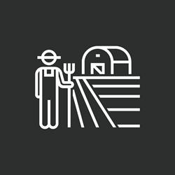 L'épicerie - Du local au bio