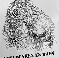 HV Diestse Vrijzinnigen