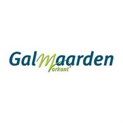 Gemeente Galmaarden