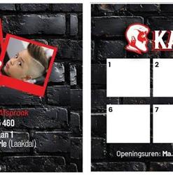 Kapsalon alan