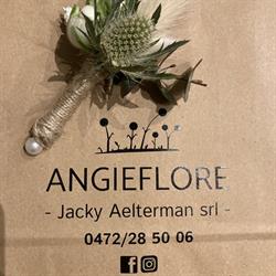 Angieflore