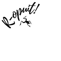 R-opuit