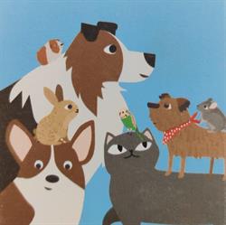 Dierenarts Elise Buyse