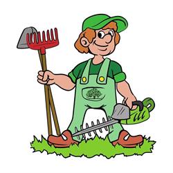Tuinonderhoud