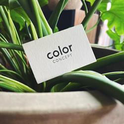 Color Concept