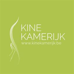 Kinekamerijk