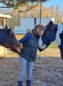 Innerlicht paardencoaching
