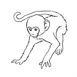 Monke Temple
