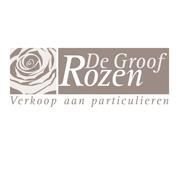 Rozen De Groof