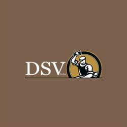 DSV Ambacht op Maat