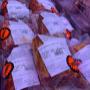 # 122