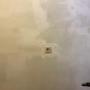 peintre andenne