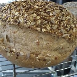 Antiqbaker