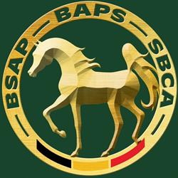 Belgisch Arabische Paardenstamboek vzw