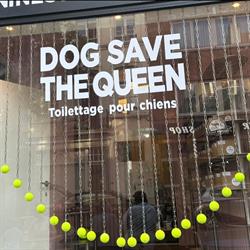 Dog Save The Queen