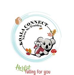 Domo Haspengouw & Koala Connect