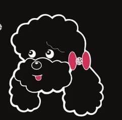 Trimsalon Doggy Chique
