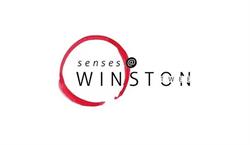 Winston 2 bvba