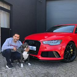 TDI Automobile by Pino