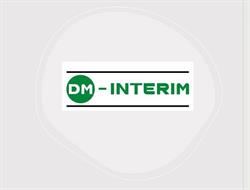 DM-Interim