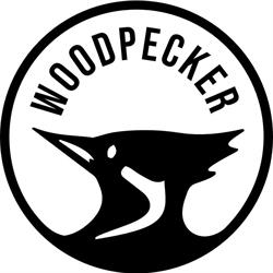 Woodpecker Bois de la Cambre