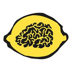 BrainSolutions