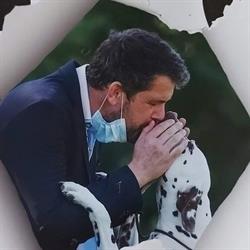 Puntinato Ballante Dalmatians