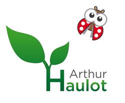 Local School Arthur Haulot