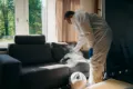 Traitement professionnel des punaises de lit