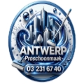 Avis