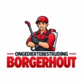 Ongediertebestrijding Borgerhout